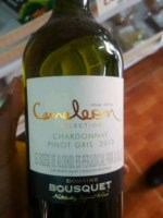 Domaine Bousquet Cameleon Selection Chardonnay - Pinot Gris