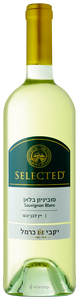 Carmel (יקבי כרמל) Selected Sauvignon Blanc (סוביניון בלאן נבחר) N.V.