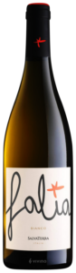 SalvaTerra Falia Bianco N.V.