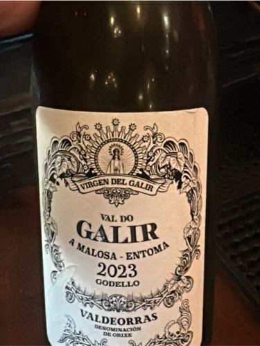 2023 Bodegas Virgen de Galir Val do Galir Godello | Vivino English