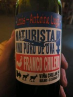 Louis-Antoine Luyt Franco Chileno