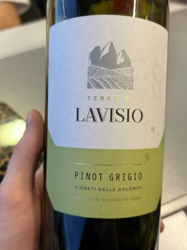 Cantina La Vis Pinot Grigio Delle Dolomiti Vivino