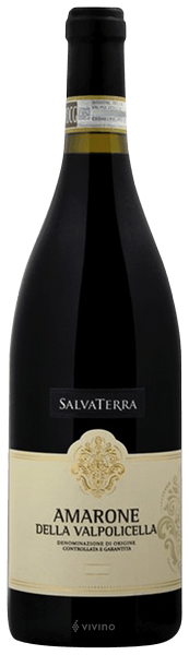 SalvaTerra Amarone della Valpolicella