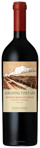 Catena Zapata Adrianna Vineyard Mundus Bacillus Terrae Malbec 2017