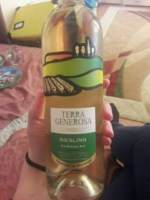 Vinuri de Comrat Terra Generosa Riesling
