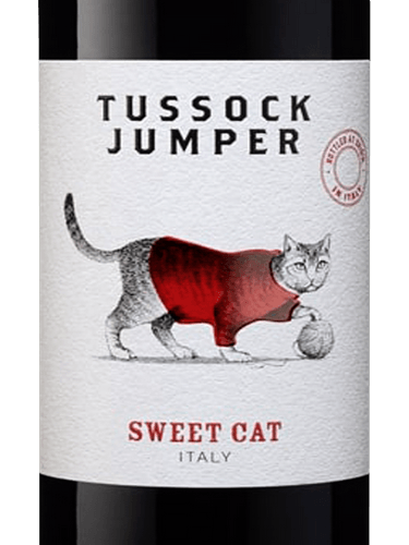 sweet cat sweet