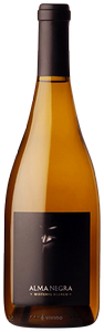 Alma Negra Misterio Blanco N.V.