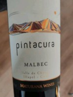 Maturana Pintacura Malbec