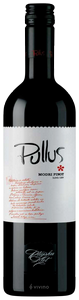 Pullus Modri Pinot / Pinot Noir N.V.