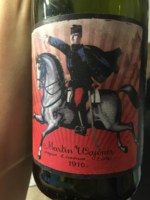 Martin Vajčner Vinařství Müller Thurgau Pet-Nat