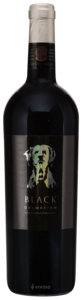Saints Hills Black Dalmatian 2020
