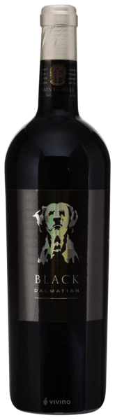 Saints Hills Black Dalmatian