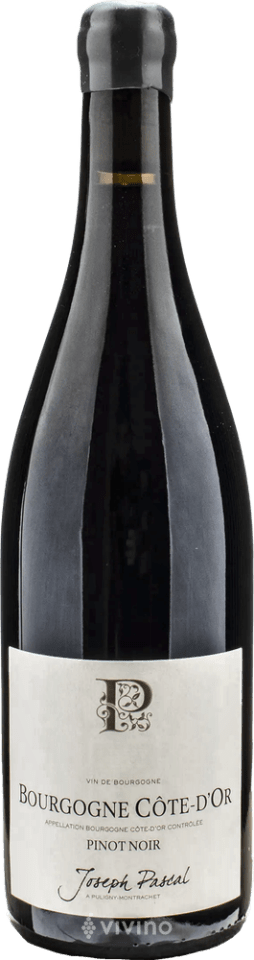 Joseph Pascal Bourgogne Côte d'Or Pinot Noir | Vivino English