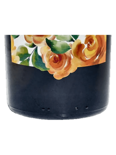 Sauvignon Trevenezie