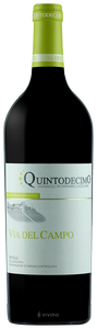 Quintodecimo Via del Campo Falanghina 2023