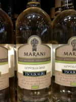 Marani Tsolikauri