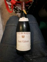 Familia Torres Sant Valenti