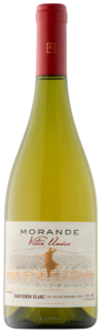 Morandé Vitis Unica Sauvignon Blanc N.V.