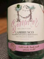 Aldi Sommer Selektion Lambrusco Salamino di Santa Croce