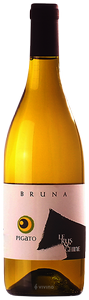 Bruna Le Russeghine Pigato 2024