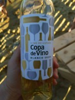 Bodegas Bastida Copa de Vino Blanco Seco