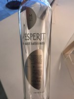 Agusti Torello Mata L'Esperit