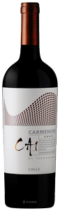 TerraNoble CA1 Andes Carmenère 2021