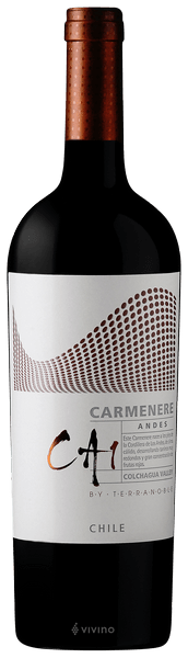 TerraNoble CA1 Andes Carmenère