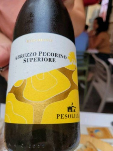 SAQ Abruzzo Pecorino Superiore doc 2022, Pesolillo main image 0