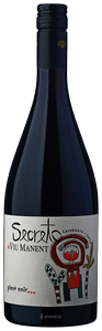 Viu Manent Secreto Pinot Noir 2022