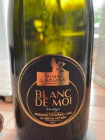 Vina Laguna Blanc de Moi Vintage Brut