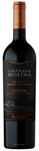 San Pedro Castillo de Molina Tributo Gran Reserva Carmenère N.V.
