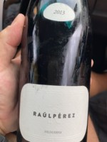 Raúl Pérez Valduerna