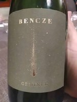 Bencze Gemini II