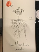 Salcheto La Bandita Chianti