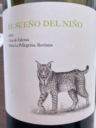 El Sueño Del Niño Blanco Vivino Us