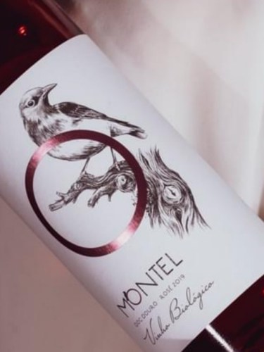 Montel Rosé | Vivino