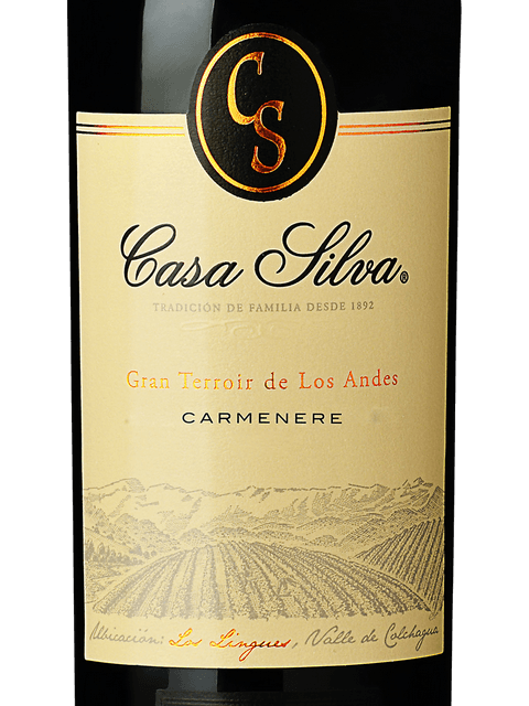 Gran Terroir de Los Andes Carmenère