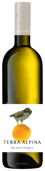 Terra Alpina Vino Bianco Biologico