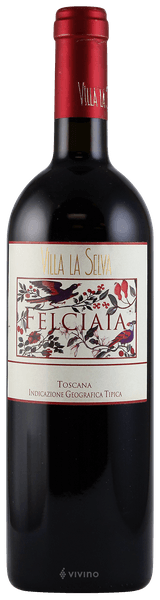 Villa La Selva Felciaia