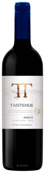 Ventisquero Tantehue Merlot