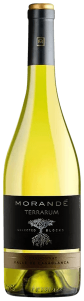 Morandé Terrarum Selected Blocks Chardonnay