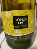 Uby Domus Sauvignon Blanc - Gros Manseng