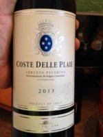 Castorani Coste delle Plaie Pecorino Superiore