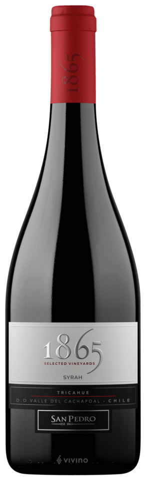 San Pedro 1865 Selected Vineyards Syrah | Vivino 日本語