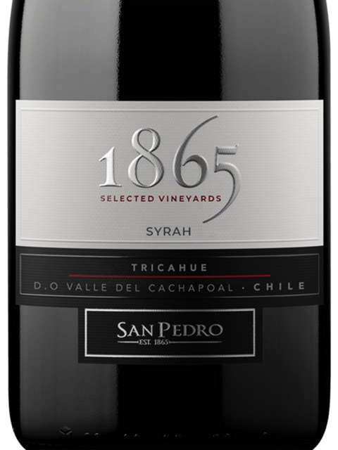 San Pedro 1865 Selected Vineyards Syrah | Vivino 日本