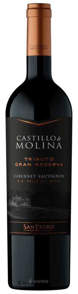 カルメネール種 CASTILLO MOLINA GRAN RESERVA カスティリョ デ