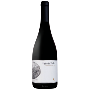 ブラジル産赤ワイン　Vale da Pedra 2016 750ml 14% SPTjlqJpTVyKz4u_fh84-