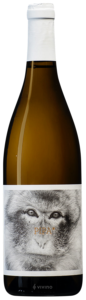 La Vinyeta Pipa N.V.