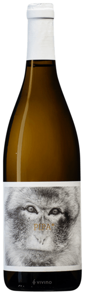 La Vinyeta Pipa